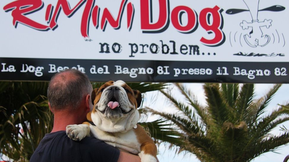 Rimini Dog "no problem..." - Bagno 81